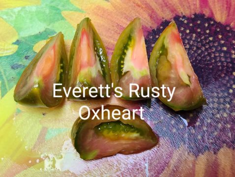 Everett's Rusty Oxheart