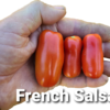 French Salsa