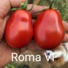 Roma VF