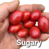 Sugary