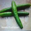 Cuke Natsu Fushinari