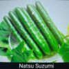 Cuke Natsu Suzumi