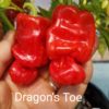 Dragon’s Toe ***