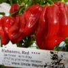 Habanero, Red ****