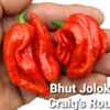 Bhut Jolokia Craig’s Rough *****