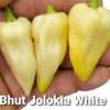 Bhut Jolokia White *****