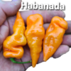 Habanada