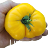 Limmony (aka Lemony)