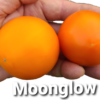 Moonglow