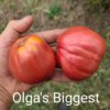 Olga’s Biggest