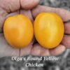 Olga’s Round Yellow Chicken