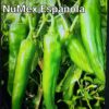 NuMex Espanola ***