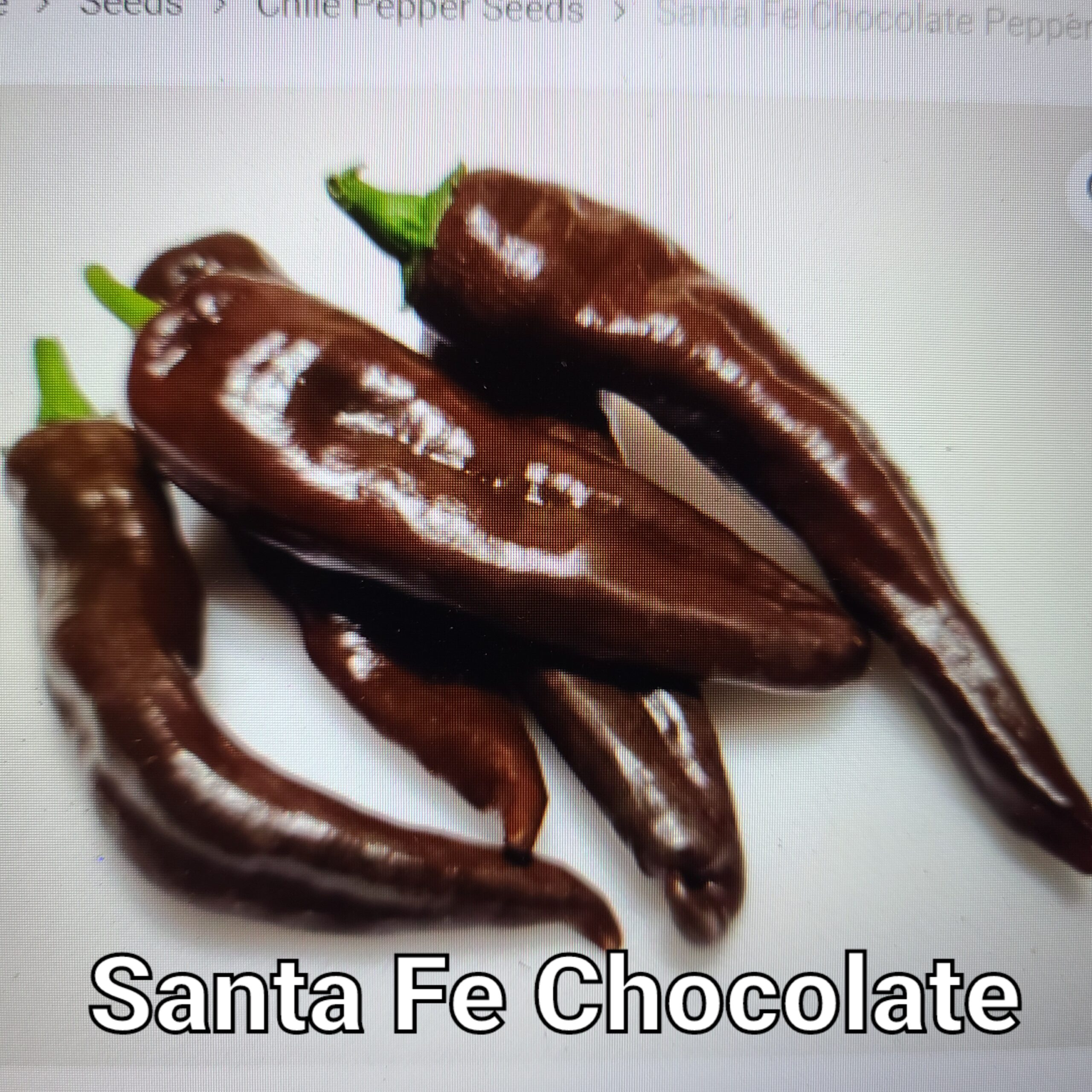 Santa Fe Chocolate ****