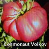 Cosmonaut Volkov