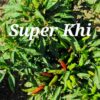 Super Khi ***