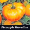 Pineapple Hawaiian