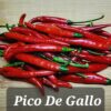 Pico De Gallo ***