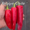 Biggie Chile