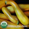 SQ Golden Zucchini