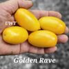 Golden Rave