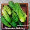 Cuke National Pickling