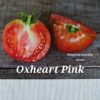 Oxheart Pink