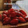 Habanero, Primero Red