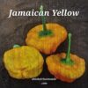 Jamaican Yellow ****