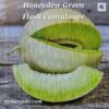 MEL Honeydew Green Flesh Cantaloupe
