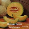 MEL Planters Jumbo Cantaloupe