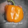 Good Orange Bell F3