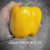 Good Yellow Bell F3