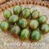 Bumble Bee Green