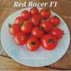 Red Racer F1